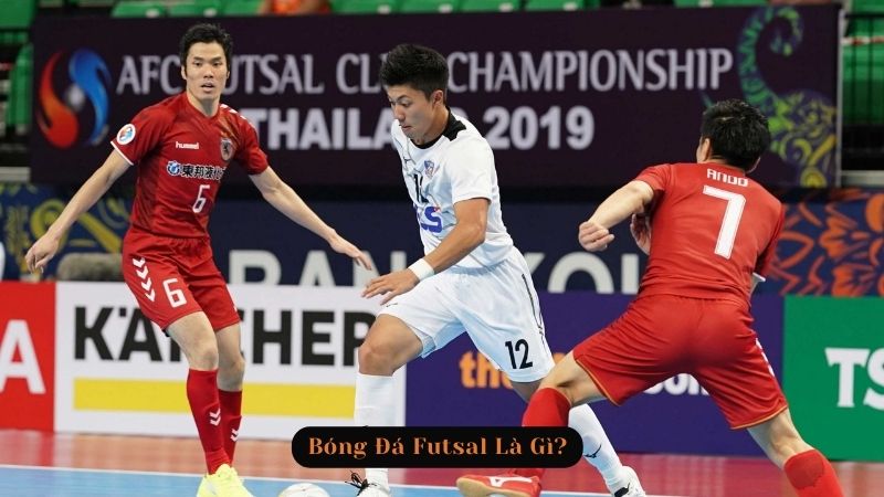 Futsal là gì: 5 điểm khác biệt so với bóng đá cơ sở - V6Sport