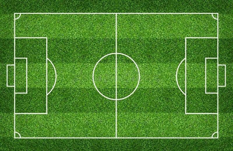 Kích thước sân bóng đá tiêu chuẩn và những điều bạn cần biết