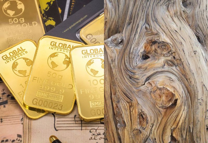 1985 mệnh Kim hợp số nào