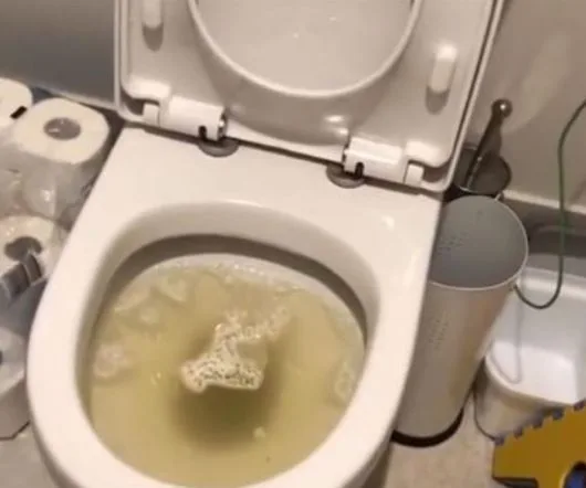 Hình ảnh minh họa bể phốt bị trào ngược và các chất thải tràn ra ngoài.